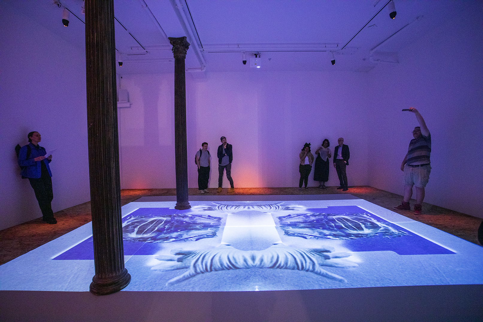 dark room with large projected image on the floor