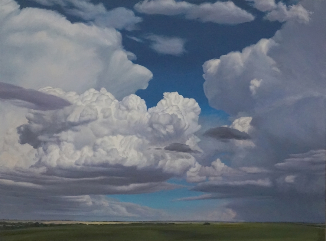cloudscape of green grass