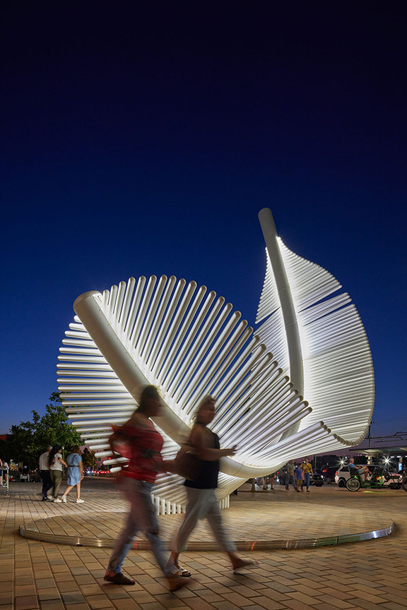 Taking Flight: Light as a Feather