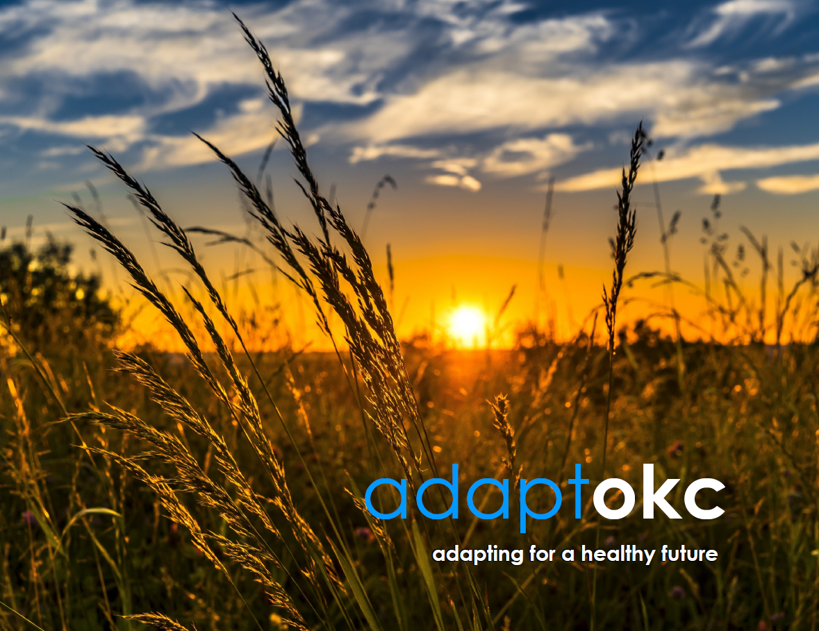 A graphic with the words adaptokc on a photo of a sunset.