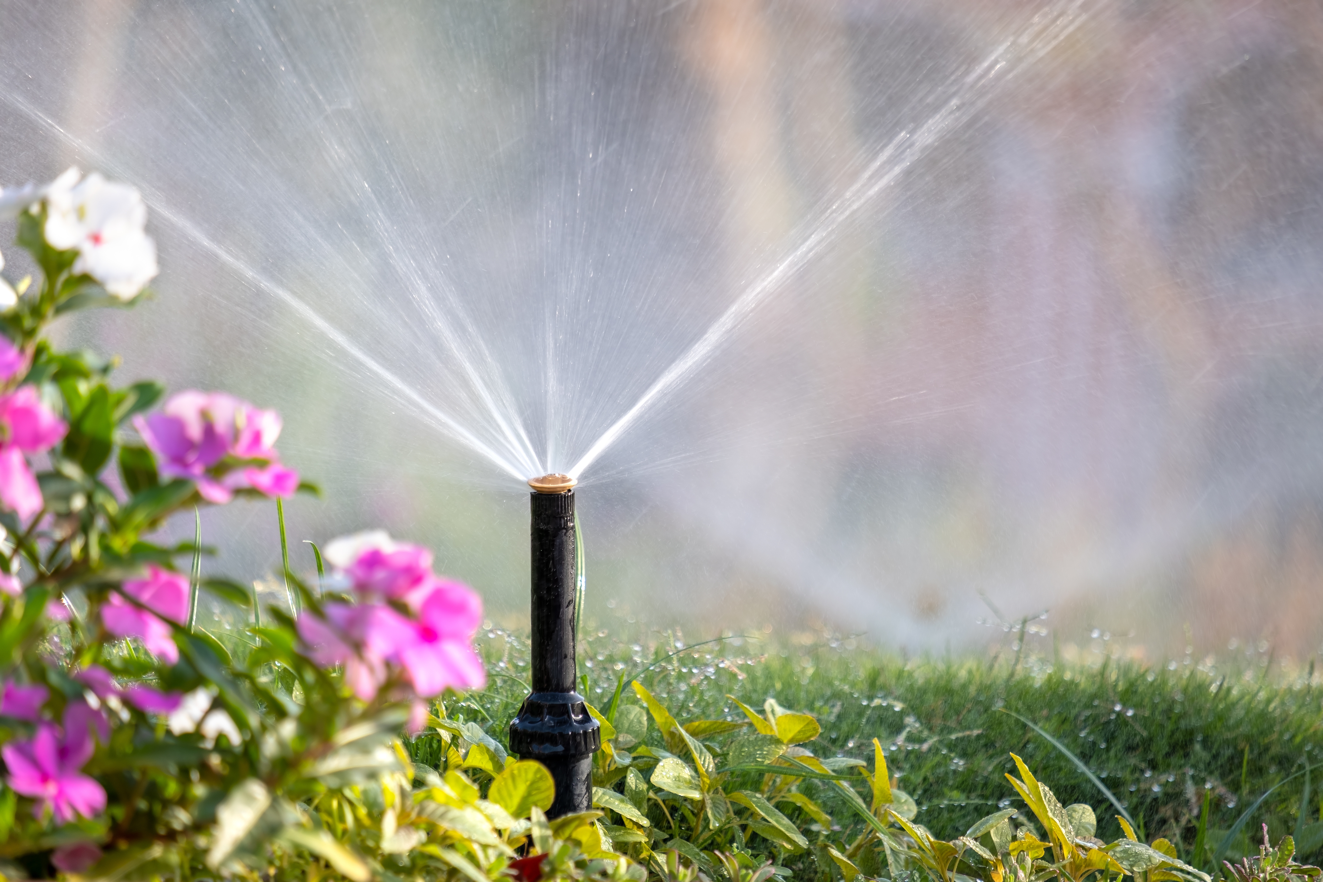 Two sprinkler heads spray water over a colorful flower garden.