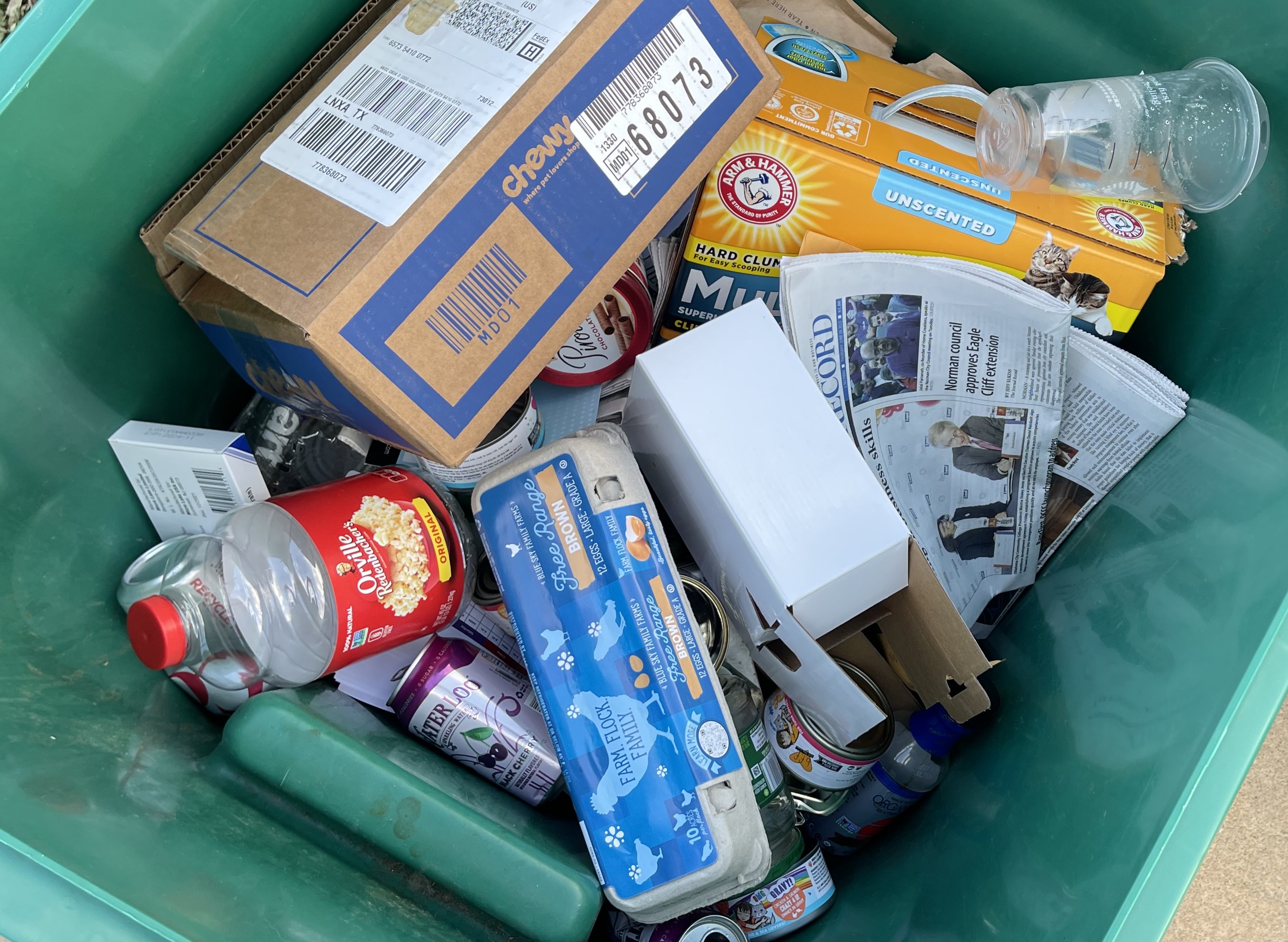 Recyclable items loose inside a Big Green recycling cart.