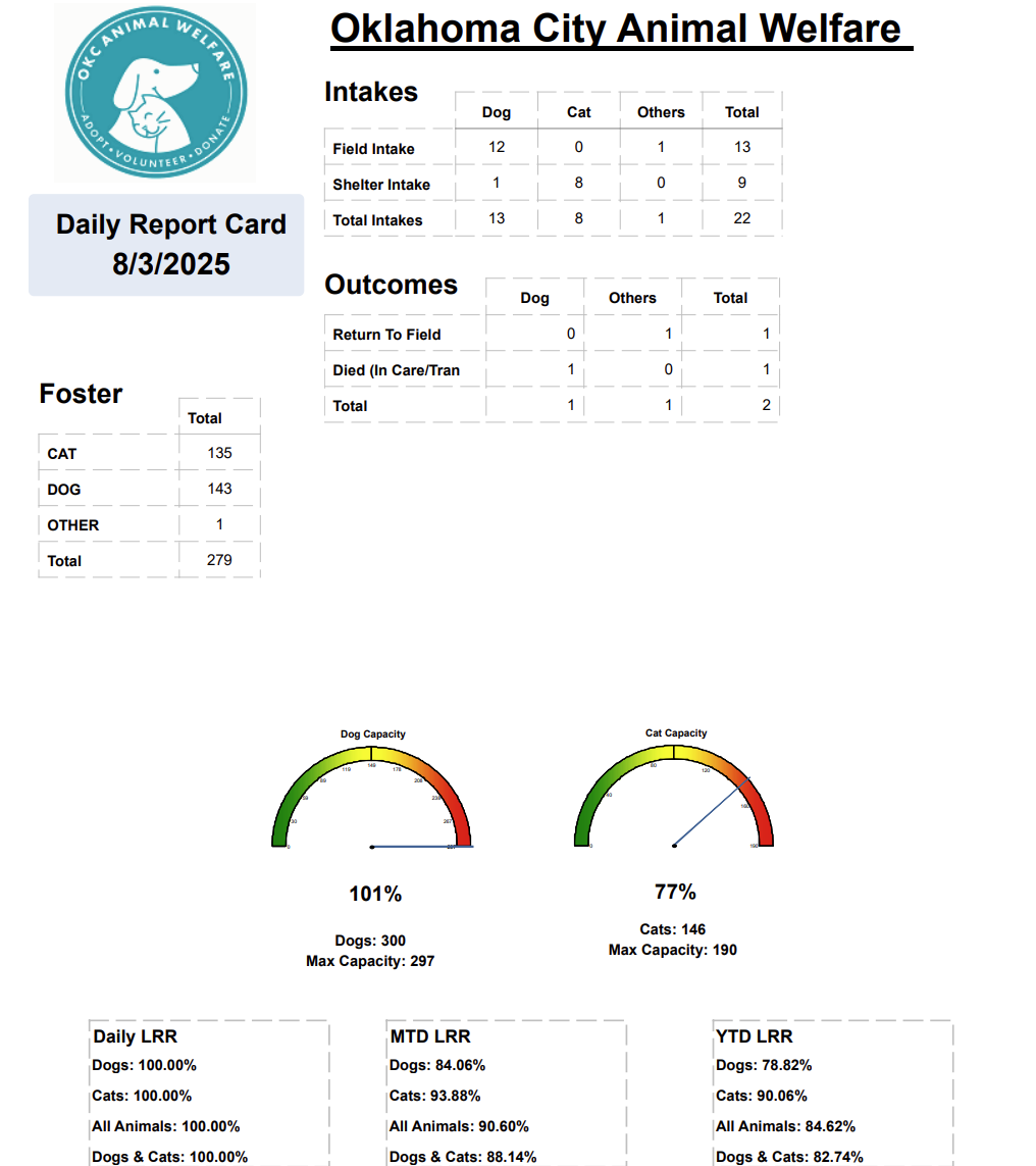 Report Card 2025-08-04