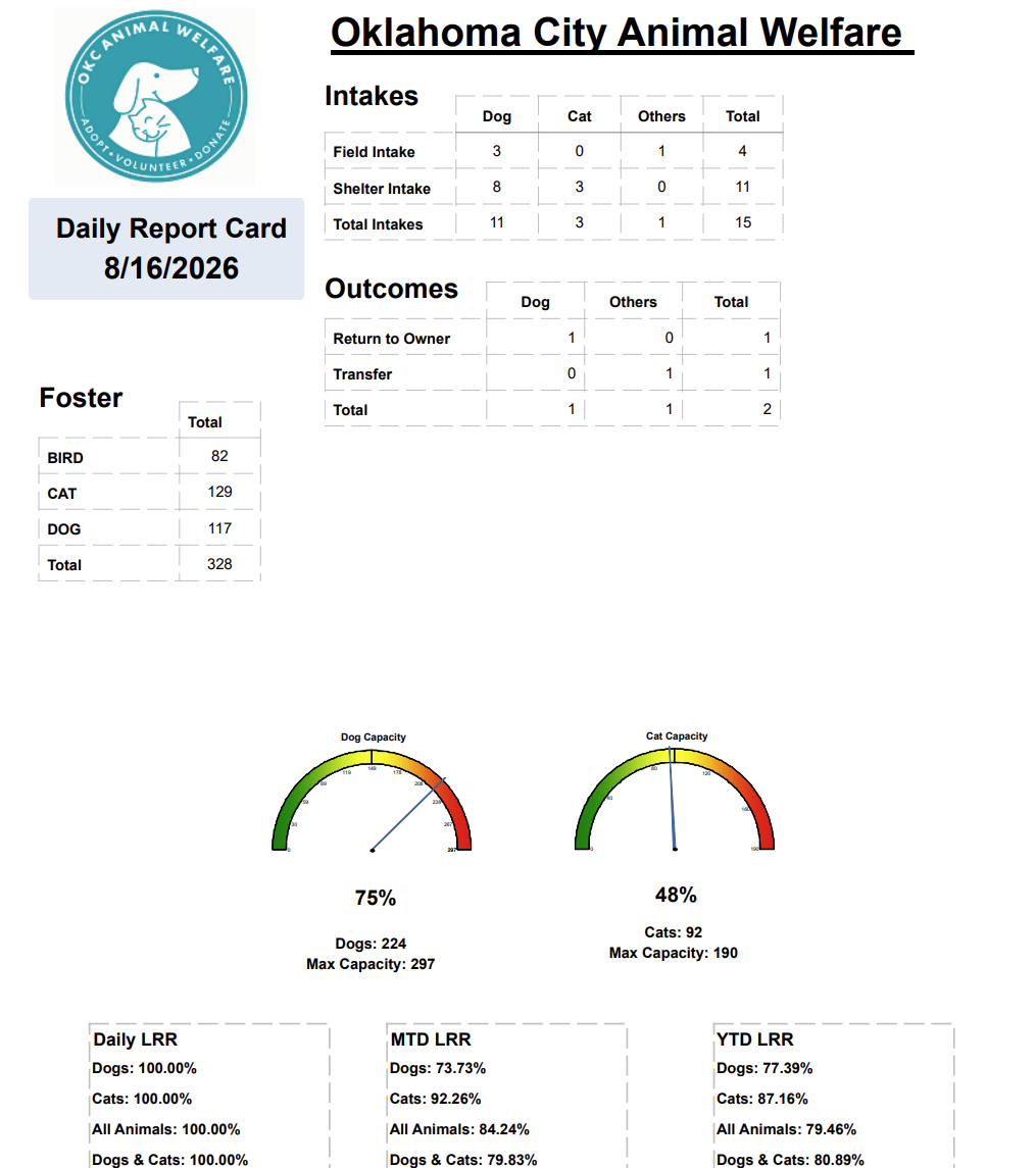 Report Card 2026-08-17