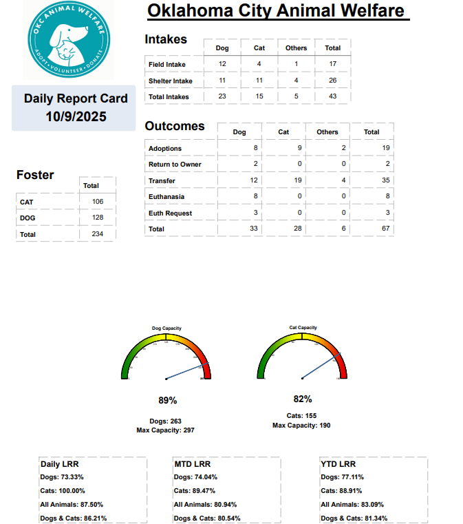 Report Card 2025-10-10