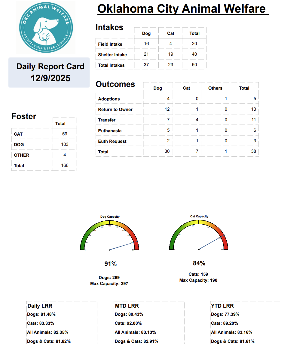 Report Card 2025-12-10